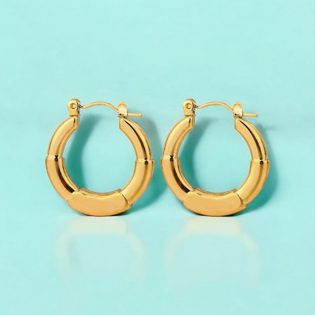 Anya | Gold Plated Simple Circular Hoop Earrings