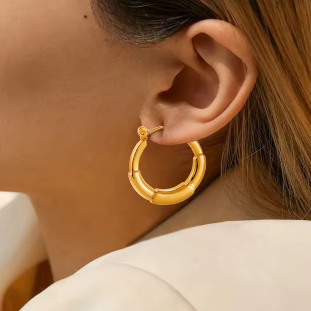 Anya | Gold Plated Simple Circular Hoop Earrings