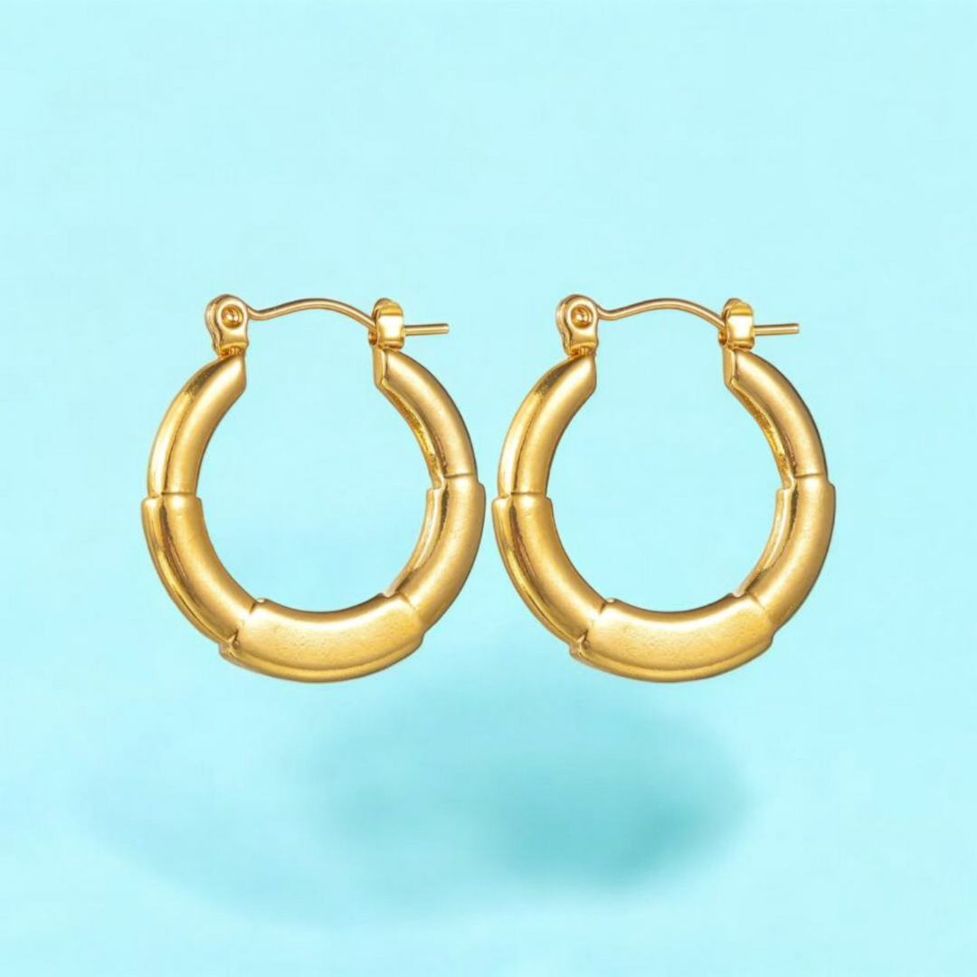 Anya | Gold Plated Simple Circular Hoop Earrings