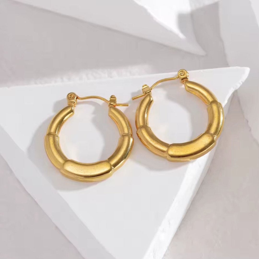 Anya | Gold Plated Simple Circular Hoop Earrings