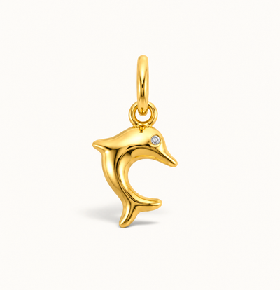 Dolphin