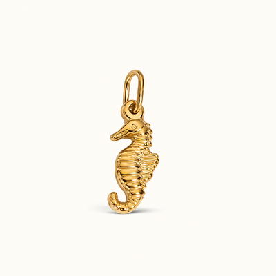 Seahorse