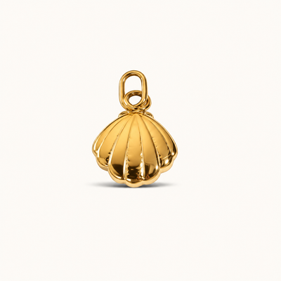 Scallop Shell