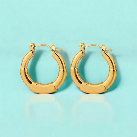 Anya | Gold Plated Simple Circular Hoop Earrings