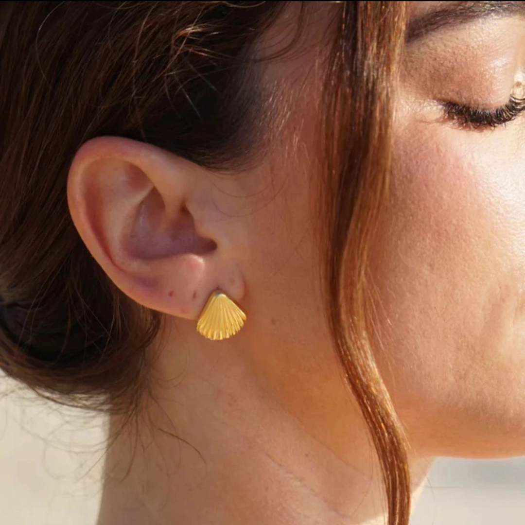 Lixie | 18K Gold-Plated Ribbed Sea Shell Waterproof Stud Earrings